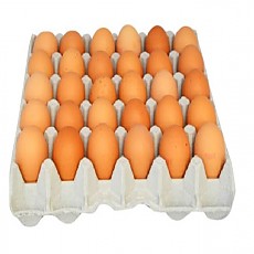 1000156924 (빌라드애월) 계란,특란,30EA,1800G이상/PAC,Y,제주 [D-2]