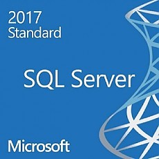 MS SQL Server Standard 2017 라이선스